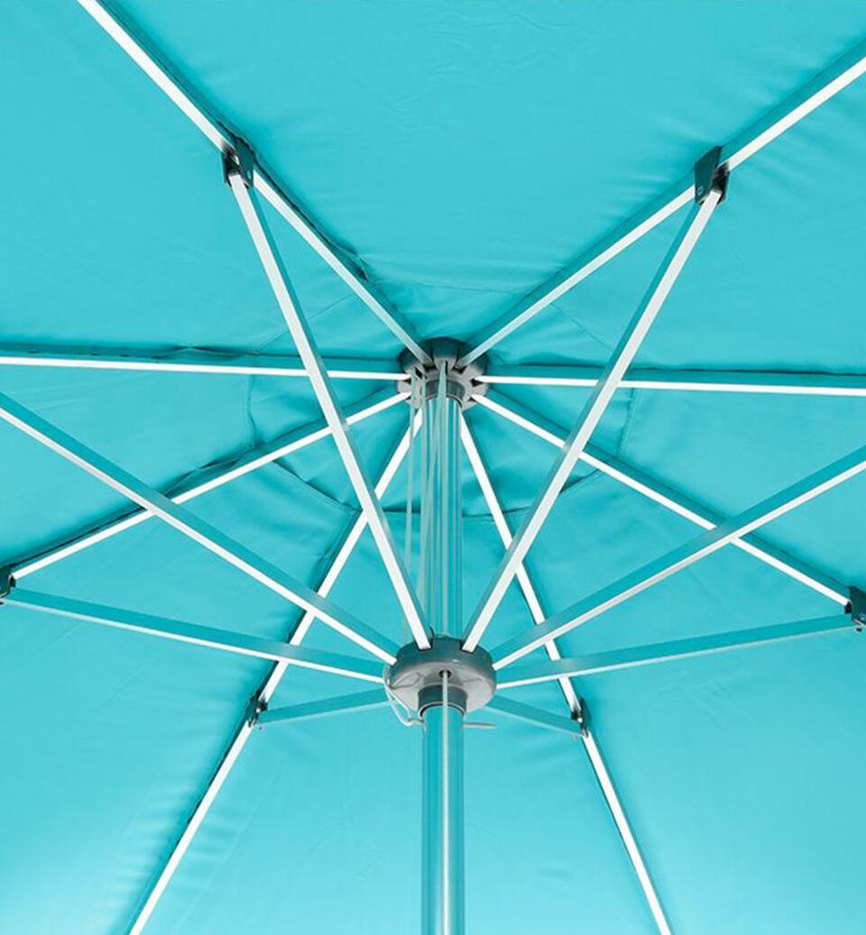 baleine de parasol