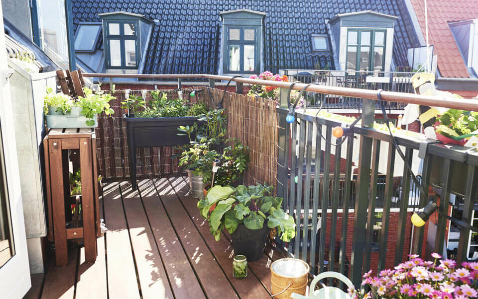 balcon décoré avec des fleurs et des plantes