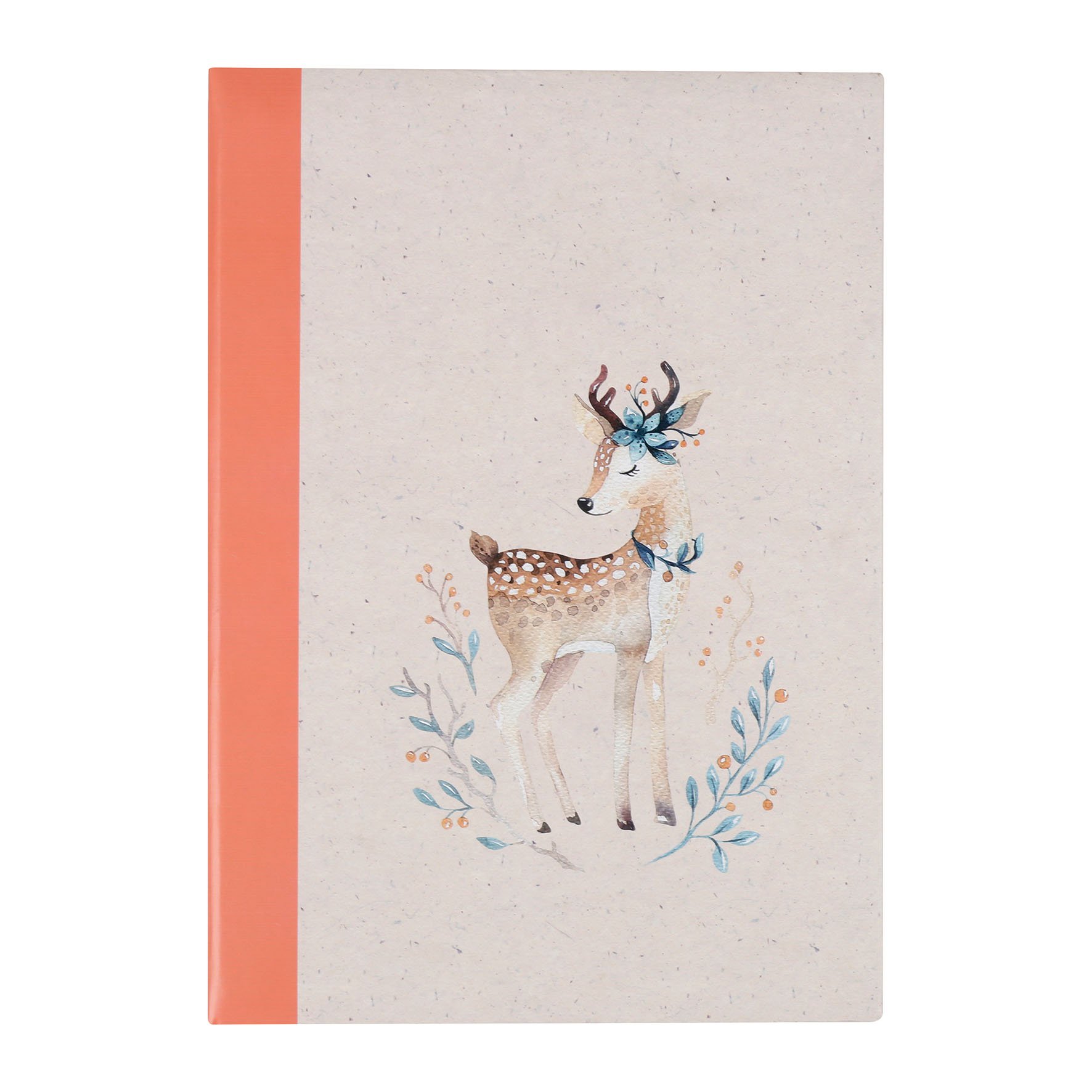 Album Photos 200 vues Biche Multicolore 1