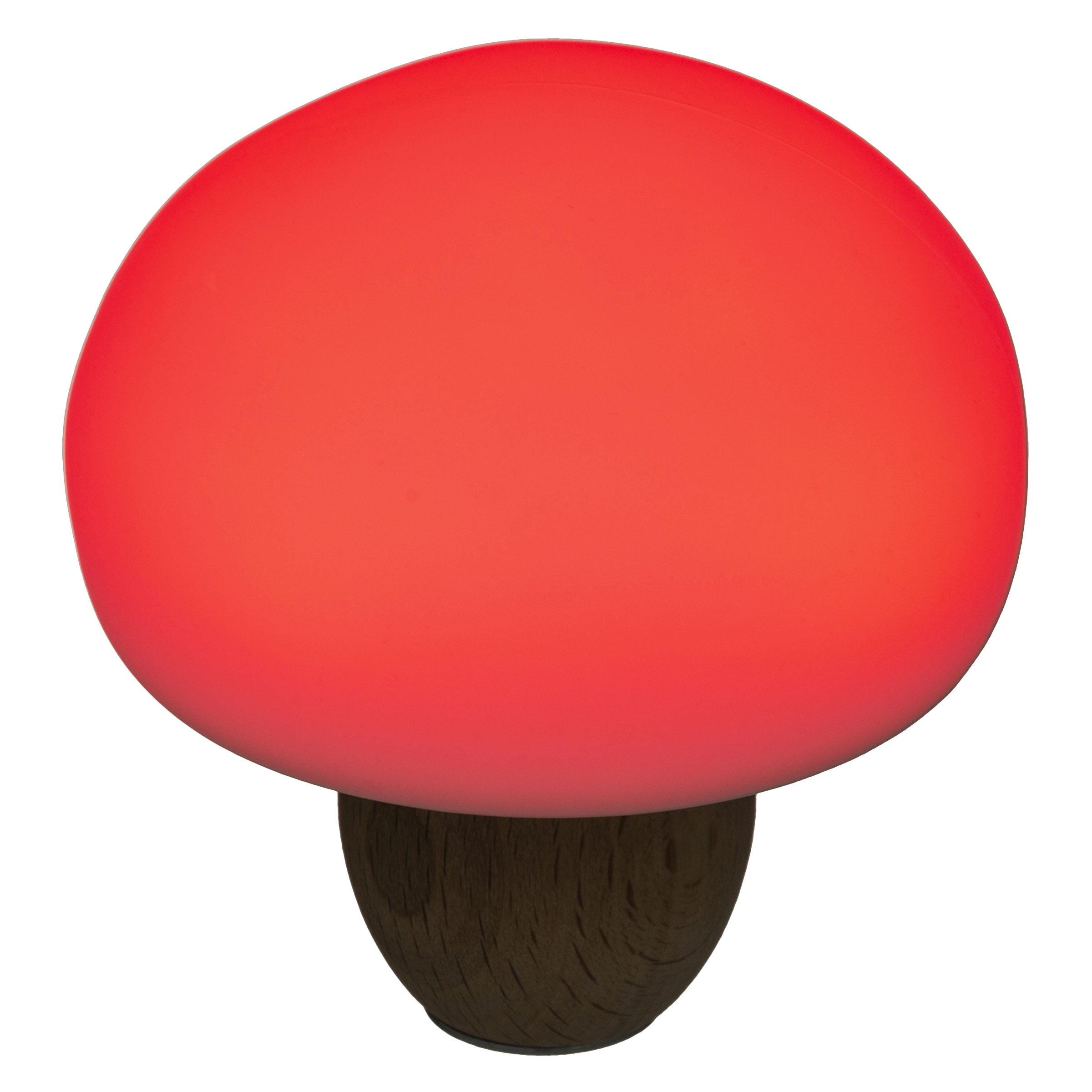 Veilleuse Champignon Blanche 4