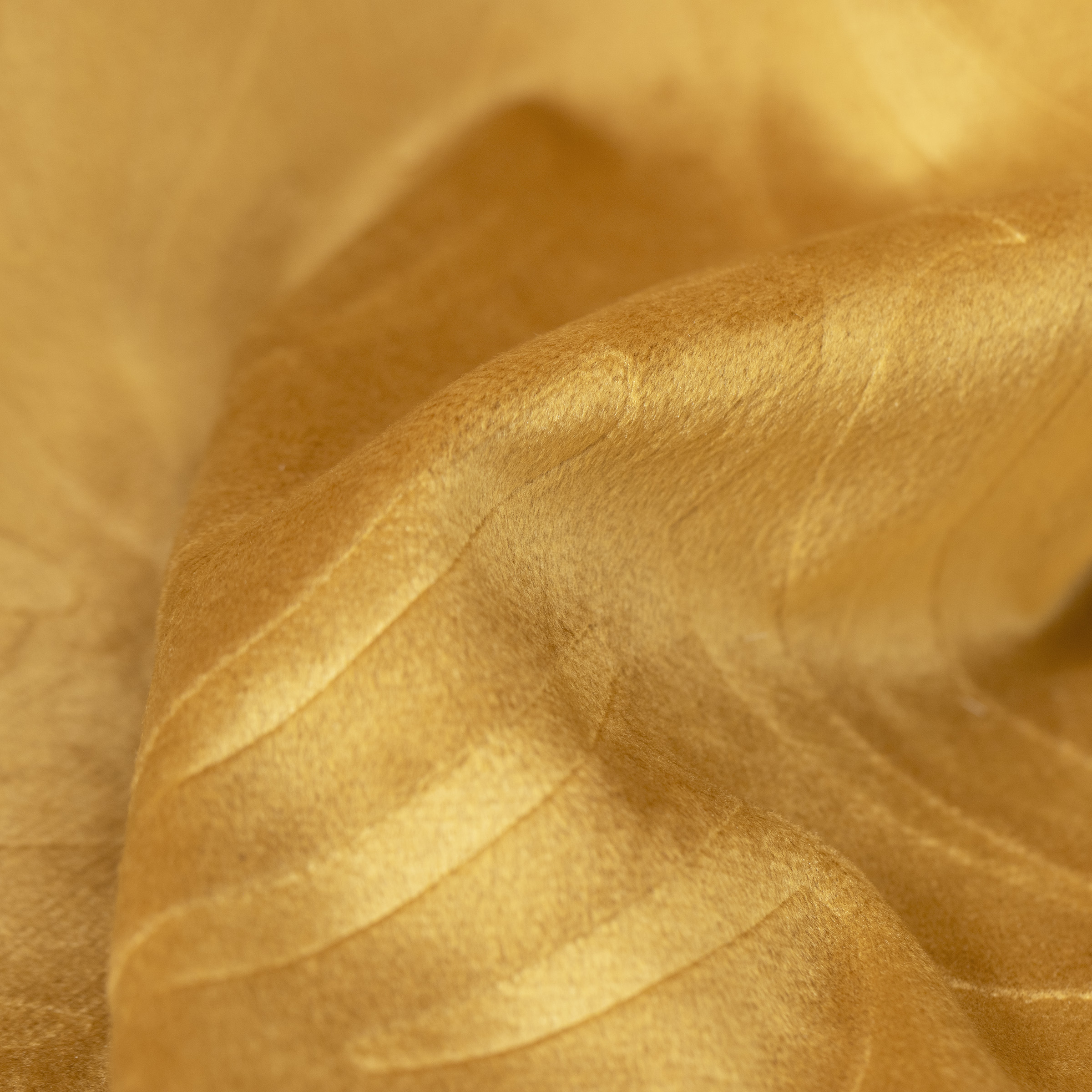 Rideau occultant velours (140 x 180 cm) Fern Jaune ocre