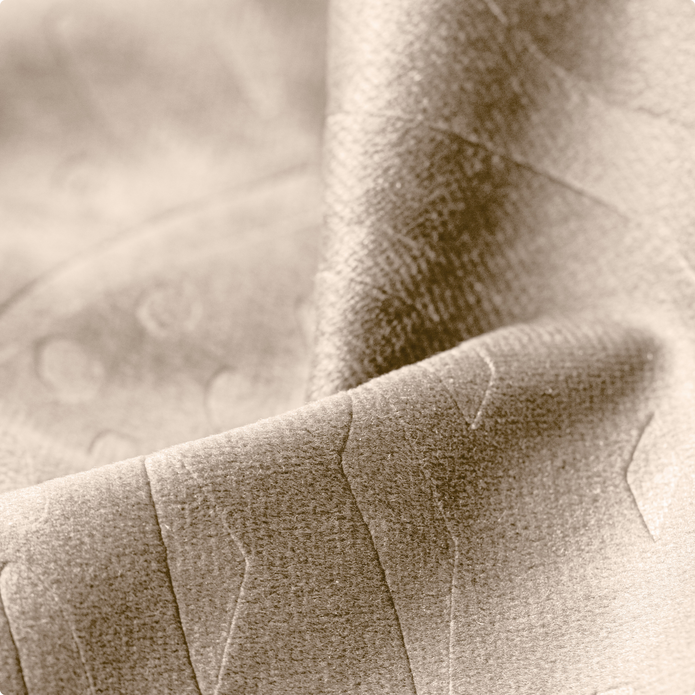 Rideau occultant velours (140 x 180 cm) Fern Taupe