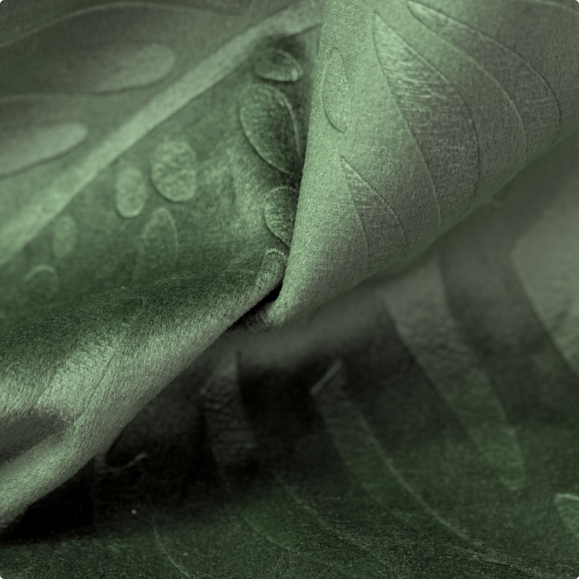 Rideau occultant velours (180 x 260 cm) Fern Vert romarin