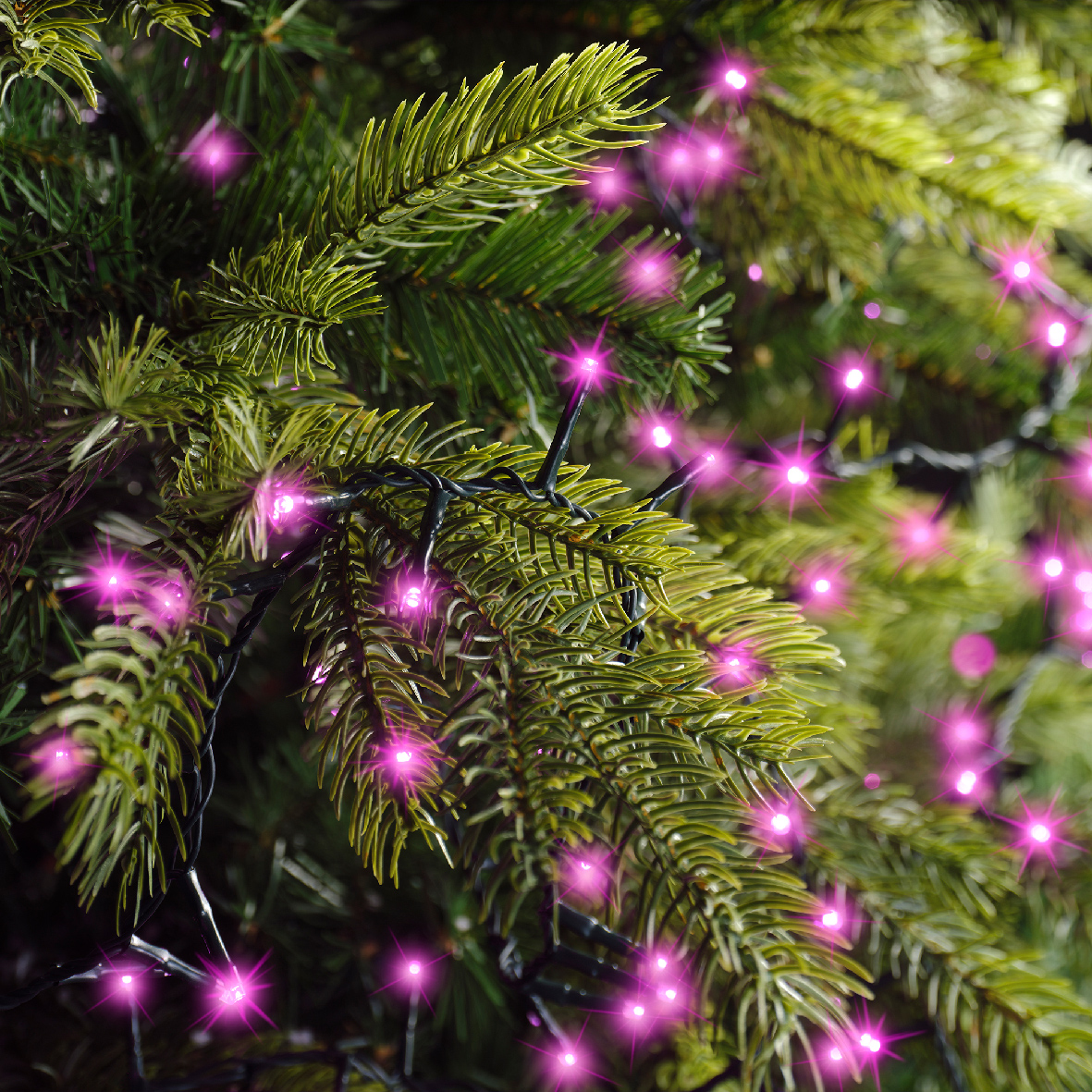 Guirlande lumineuse 11 m 500 LED câble vert NewLuxe Rose