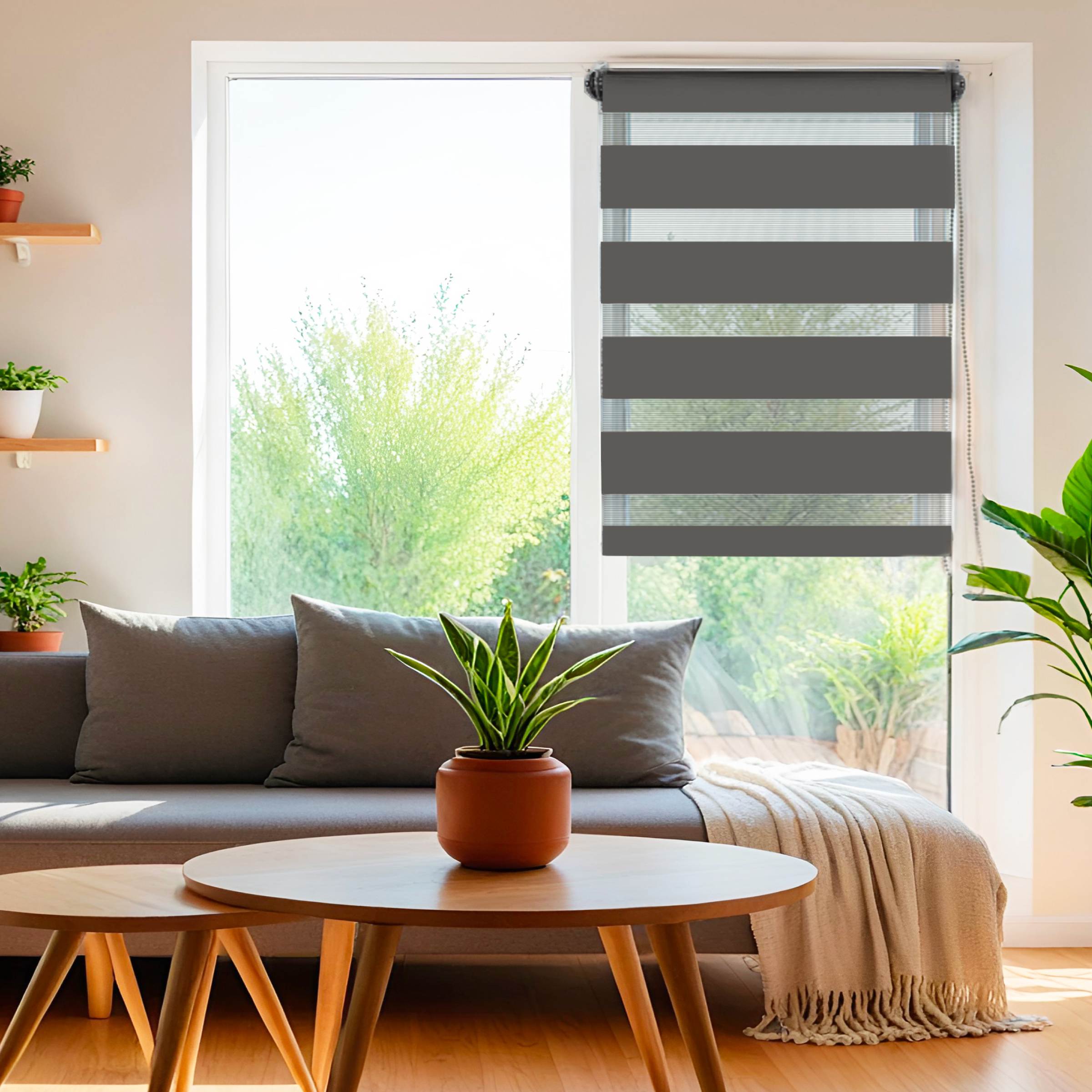Store enrouleur Jour / Nuit (45 x 250 cm) Gris anthracite 1