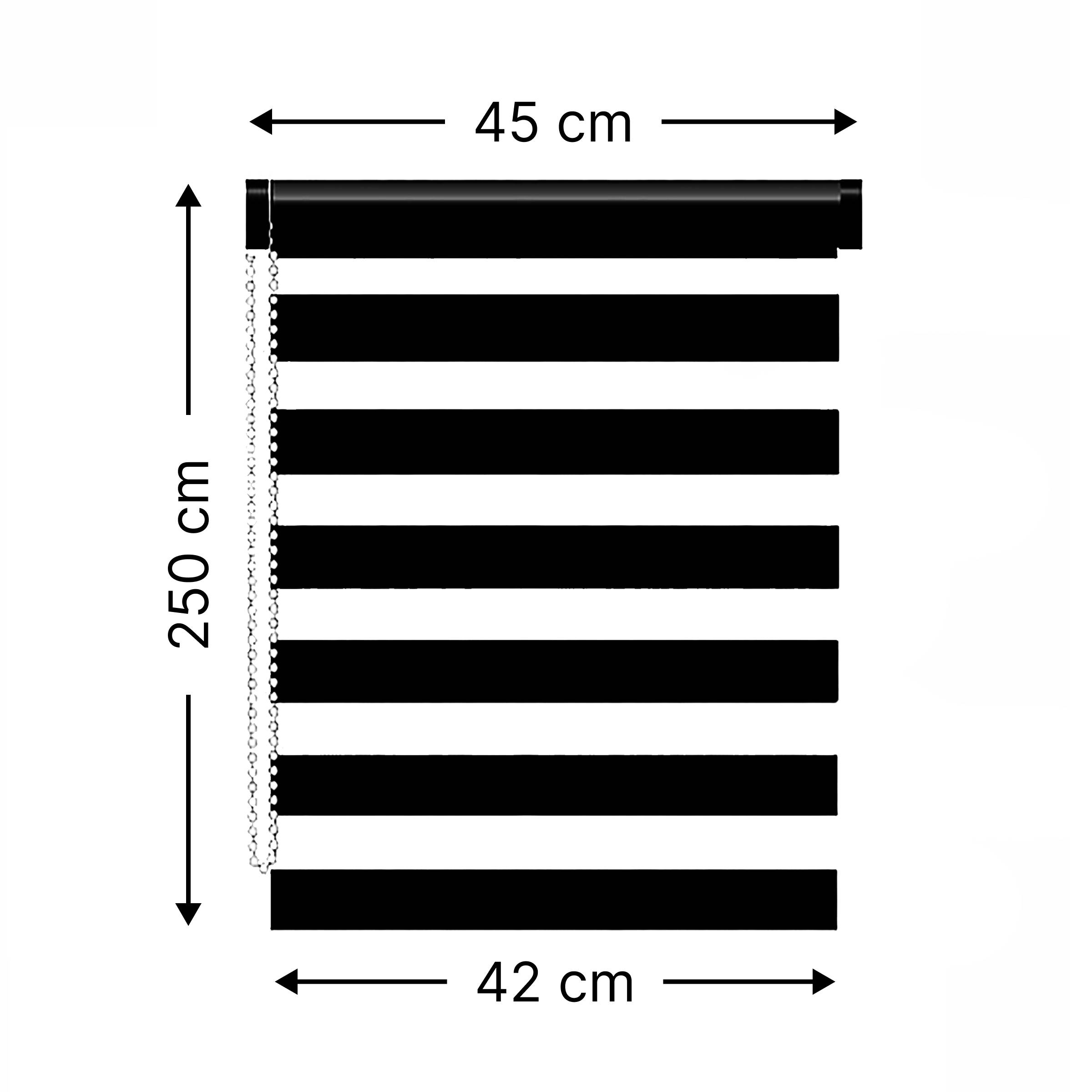 Store enrouleur Jour / Nuit (45 x 250 cm) Gris anthracite