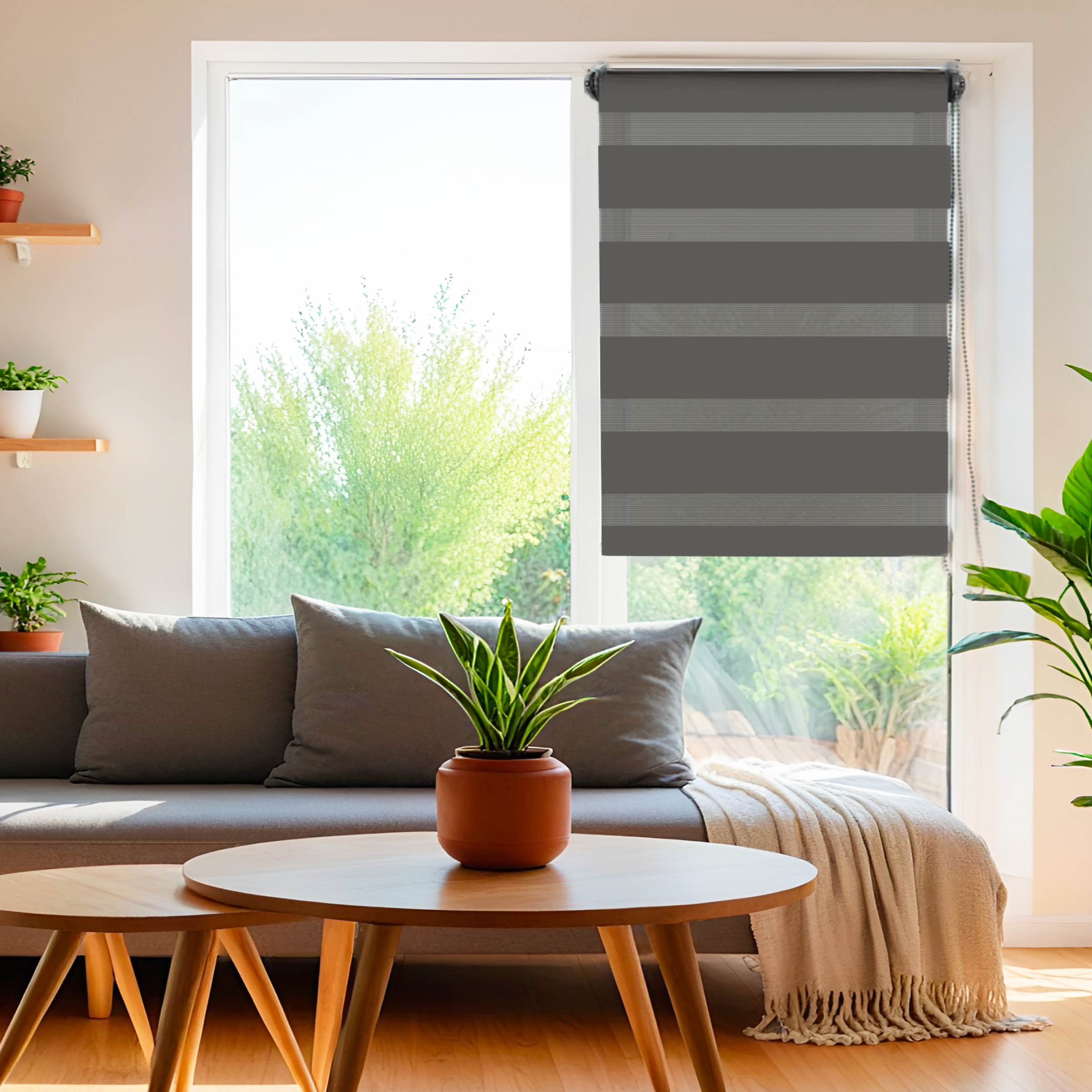 Store enrouleur Jour / Nuit (75 x 250 cm) Gris anthracite 2